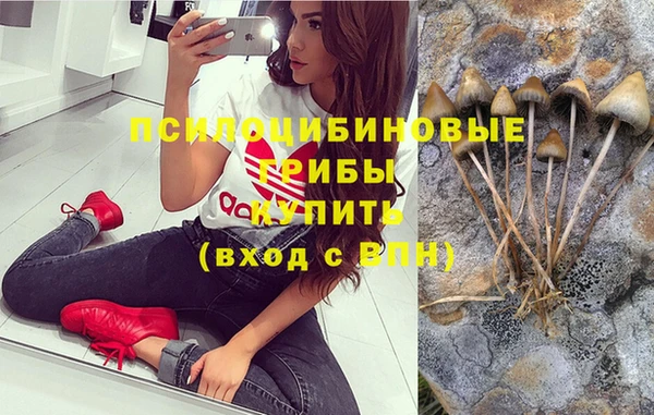 каннабис Баксан