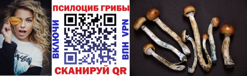 Галлюциногенные грибы MAGIC MUSHROOMS Пущино