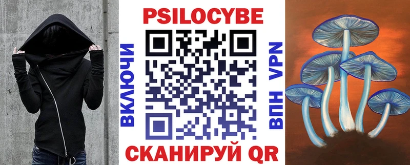 где можно купить   Пущино  Галлюциногенные грибы GOLDEN TEACHER 